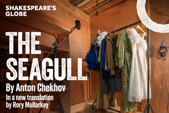 The Seagull